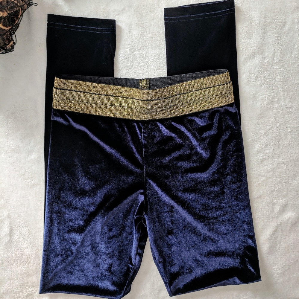 Alexander Wang Blue Velvet Legging Size XS